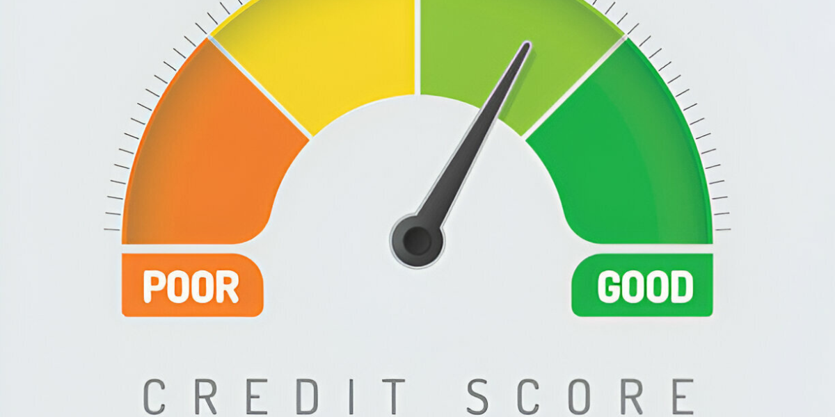 Credit Repair Guide